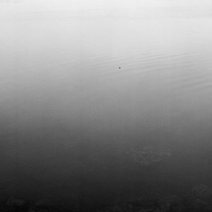 41_09dg102594